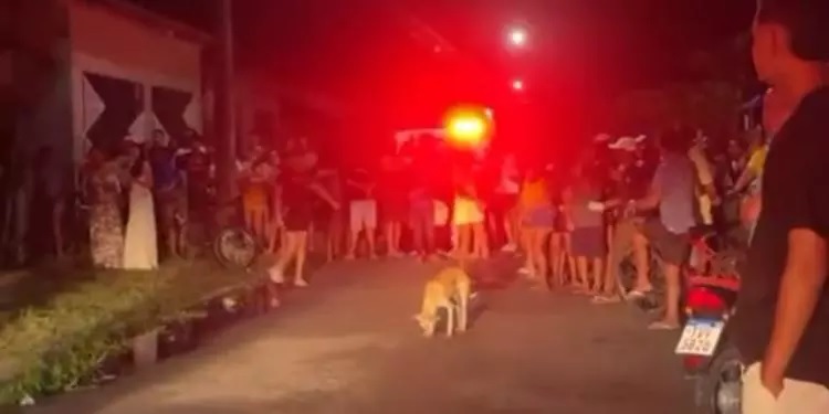 Filho é suspeito de matar o próprio pai e enterrar em cova rasa em Quatipuru, nordeste paraense