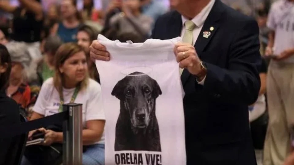 Justiça por Orelha: Governo do Brasil publica decreto que aumenta multas por maus-tratos contra animais