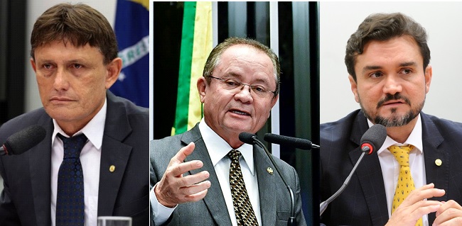 Bolsonaristas disputam segunda vaga para o Senado