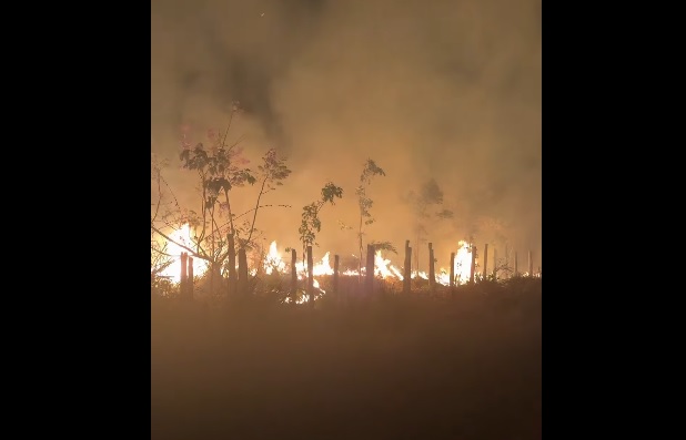 Incêndio florestal atinge zona urbana de Tailândia (PA), no Jardim Liberdade